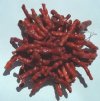 16 inch strand of Irregular Imitation Coral Sticks